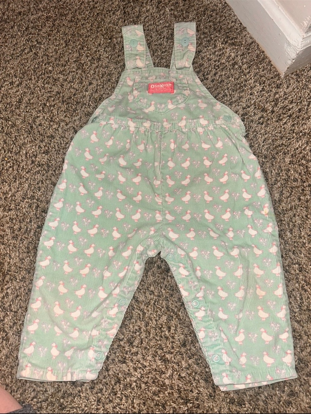 Vintage OshKoshBgosh pastel duck corduroy coverall